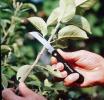 Нож для прививок Fiskars "К61" (125880)